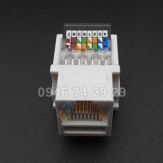 Nhân mạng AMP CAT3, CAT6  dùng cho ổ cắm mạng