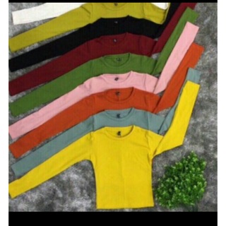 Crop tay dài