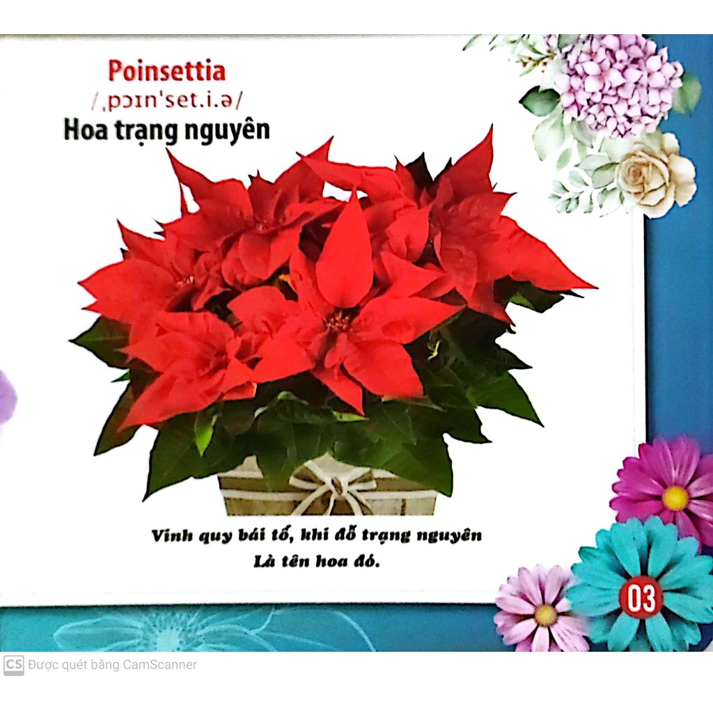 Sách - Cùng Bé Khám Phá Thế Giới Xung Quanh - Hoa - Sách Song Ngữ