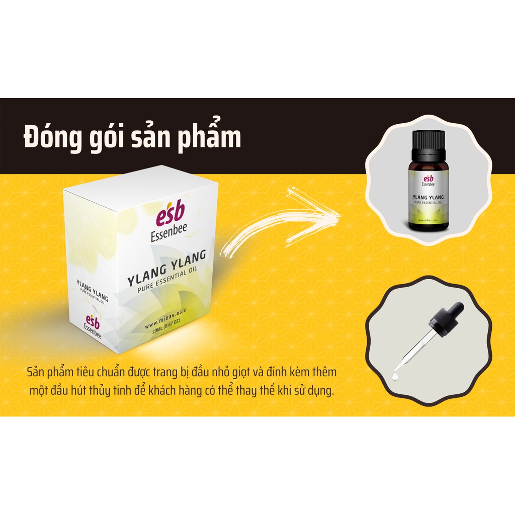 Tinh dầu Ngọc Lan Tây (Ylang Ylang) – Essenbee – 20ml