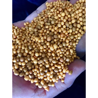 100g phân tan chậm Nhật Bản/Mỹ 10-10-10