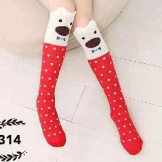 Tất gối sỉ 25k.
