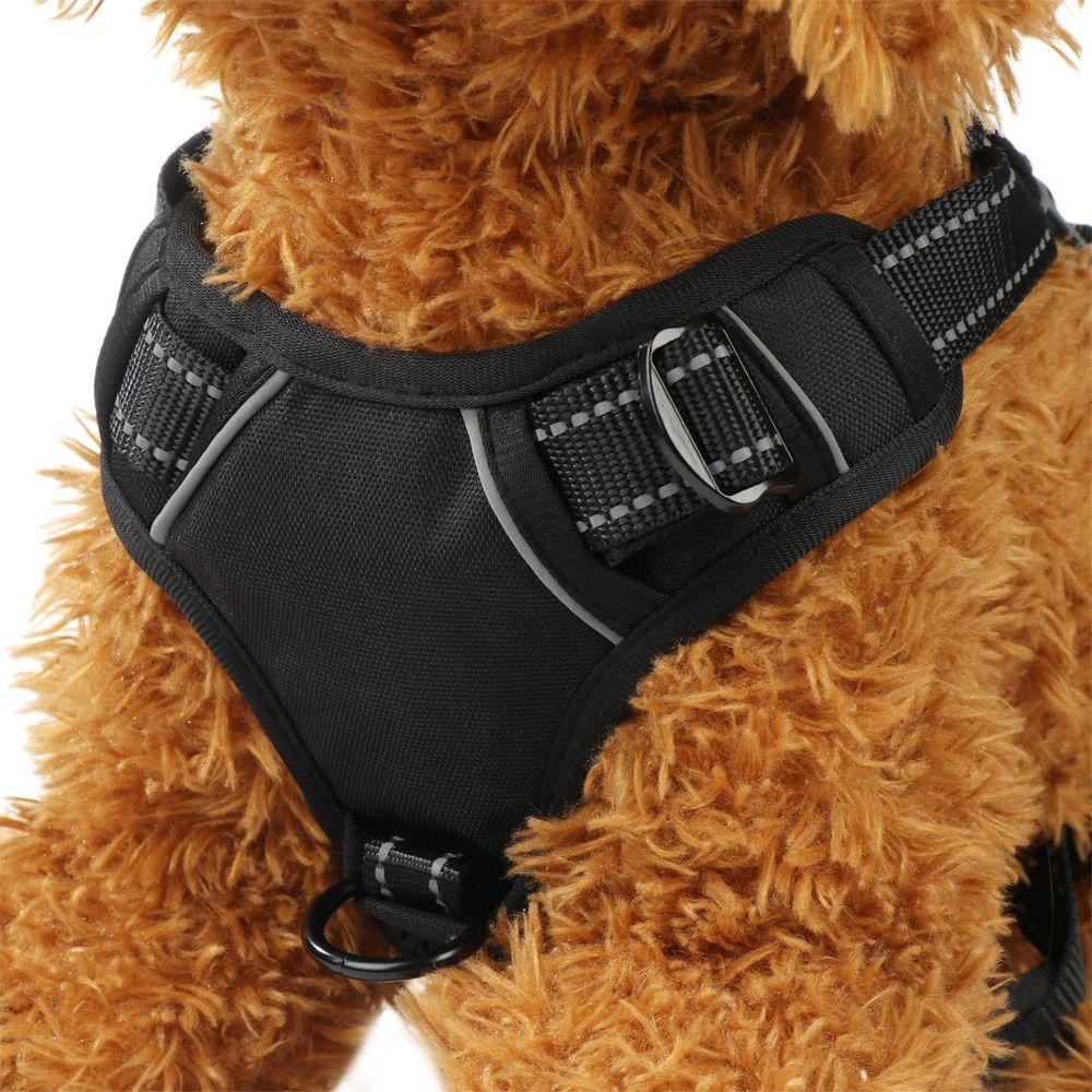 Áo Vest Kèm Dây Dắt Cún Cưng Cỡ Nhỏ LAYOR1