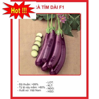Hạt giống Cà Tím Dài F1 1gram