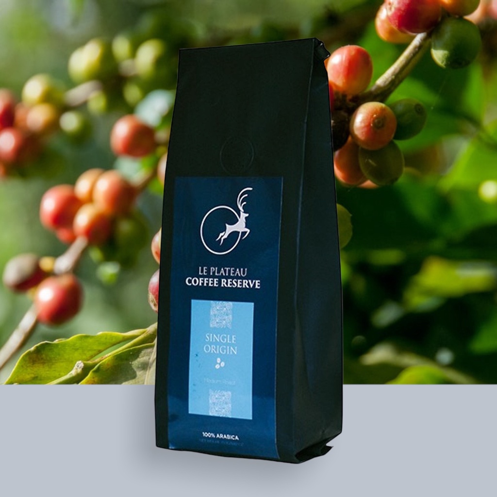 Cà phê Măng Đen Arabica Le Plateau cao cấp nguyên chất 100% hạt chín hữu cơ hái bằng tay
