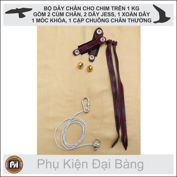 Bộ dây chân đại bàng ưng trống | BigBuy360 - bigbuy360.vn