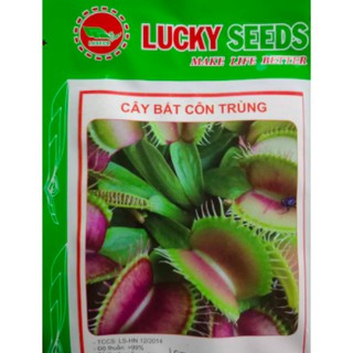 Hạt cây bắt côn trùng (BẪY RUỒI)