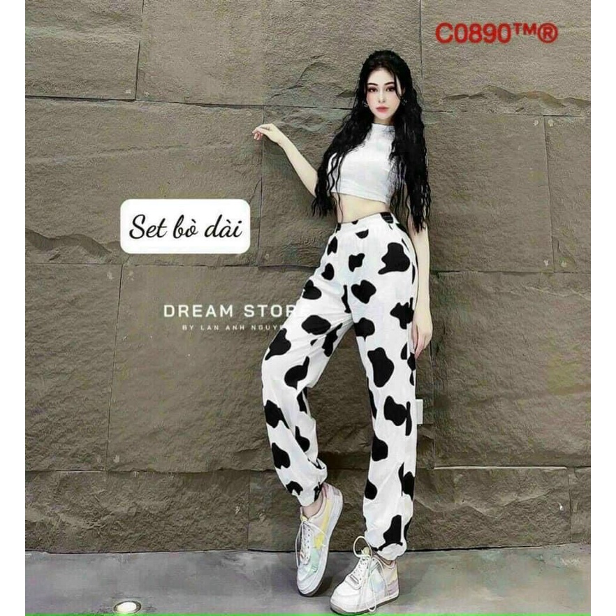 sét bộ joger bò dài