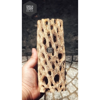 Lũa cholla teddy bear cho cá tép tôm cảnh thủy sinh