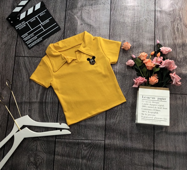 Áo croptop thêu ( hình chụp thật kèm video)