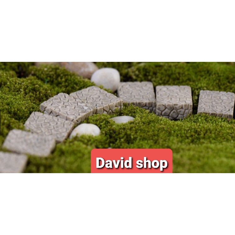 Tiểu cảnh - Viên Đá, Gạch Lát Đường Đi Làm Tiểu Cảnh
