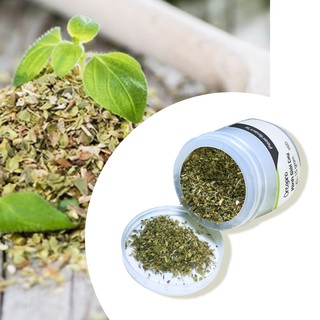 [TIỆN DỤNG] KINH GIỚI CAY OREGANO - GIA VỊ NẤU ĂN
