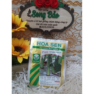 Hạt giống dưa leo hoa sen 840 gói 10g