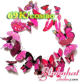 Combo 18 Bướm 3D trang trí phòng khách cực đẹp