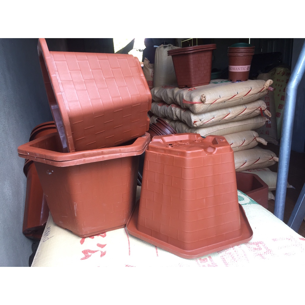 5 CHẬU NHỰA LỤC GIÁC MÃ #380 (DỊCH TRUYỀN CỨU CÂY, KÍCH RỄ MẦM CÂY, BẦU KHAY TÚI ƯƠM..)