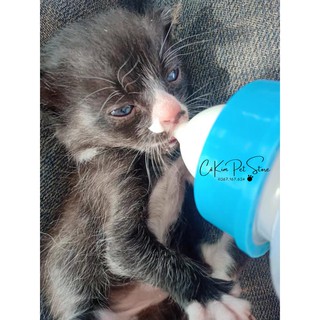 Bộ bình bú sữa cho chó mèo con