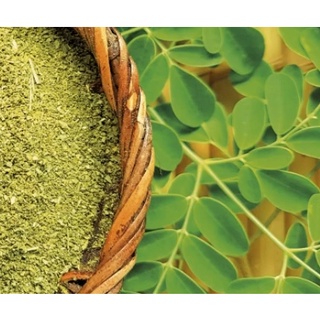 Bột Lá Chùm Ngây đắp mặt 50gr Bee March