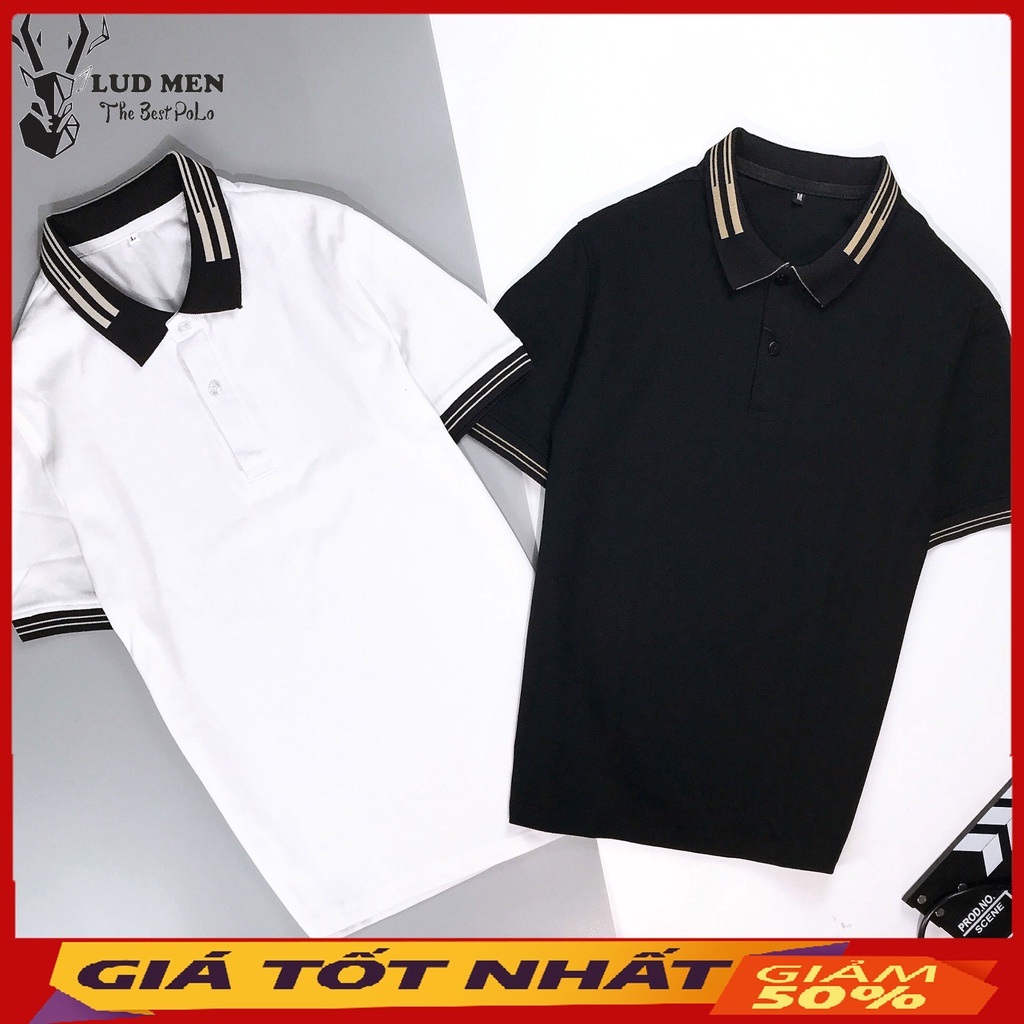 Áo Thun Nam - Áo Polo Nam Phối Viền Chất cá sấu cotton co giãn, Áo Có Cổ, Trẻ Trung, Cá Tính Kết Hợp 2 Màu Trắng, Đen