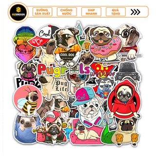 Sticker Chó Pug | Sticker Dán Nón Bảo Hiểm Chất Liệu PVC 5 Lớp Chống Nước Cắt Sẵn Từng Hình Dễ Sử Dụng