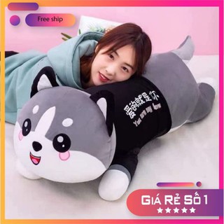 gấu mèo siêu xinh rễ thương