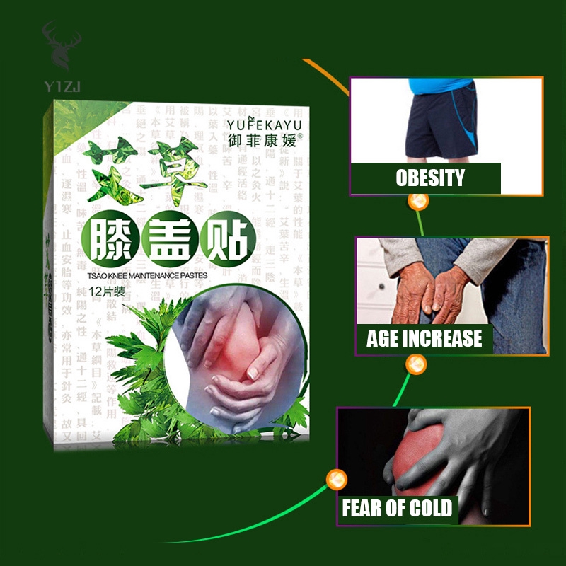 Hộp 12 miếng cao dán lá ngải dùng cho vùng thắt lưng/cổ/eo/đầu gối
