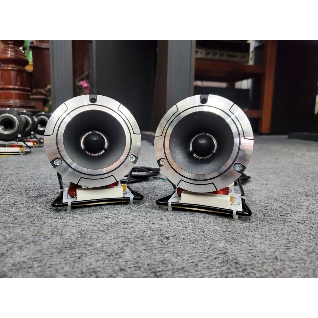 Cặp Loa Siêu Treble Pioneer P8801