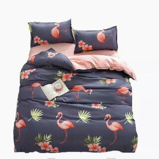Combo 4 bộ chăn ga gối