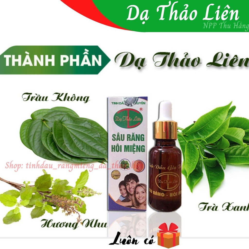 Tinh Dầu Răng Miệng Dạ Thảo Liên Chính hãng - sâu răng, hôi miệng, nhiệt miệng, nấm lưỡi