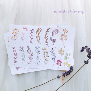 Bullet Journal Sticker - Hoa dại