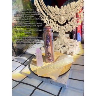 SPELL JAR // Ma Thuật Thảo Dược