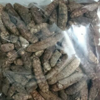 Chuối hột rừng