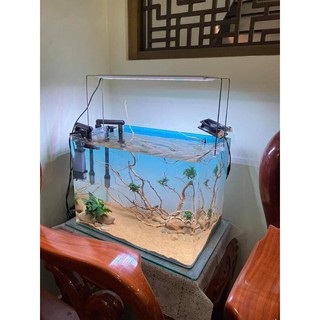 Tranh 3D dán bể cá ( tấm lưng mẫu ADA)