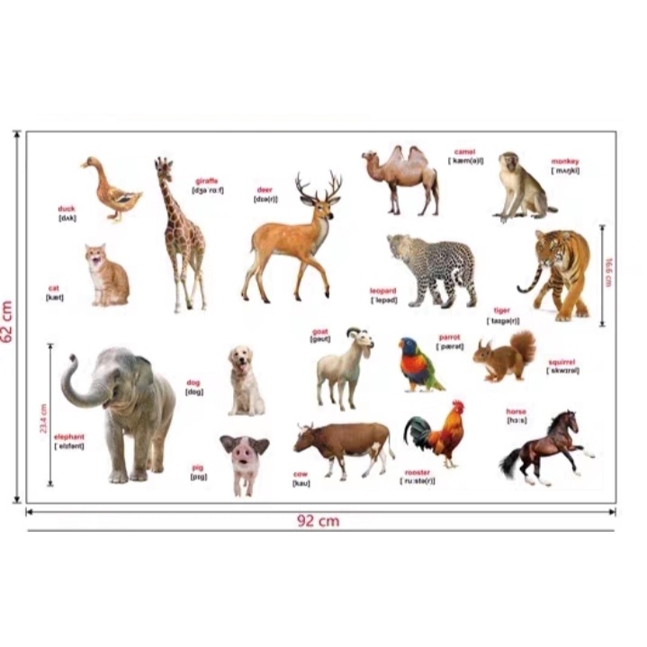 Tranh dán tường cho bé phòng ngủ Vườn Thú Tiếng Anh 5