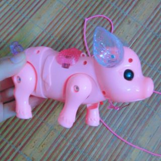 Lợn biết đi, có nhạc, phát sáng