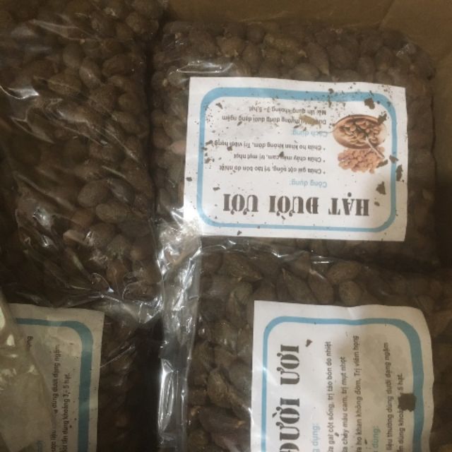 Sỉ toàn quốc giá rẻ hạt đười ươi 500g - 1kg