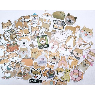 Set sticker chó Shiba Inu dễ thương cute decal không thấm nước stickaroundvn