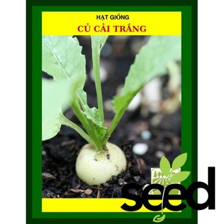 Hạt Giống Củ Cải Trắng 50 Gram