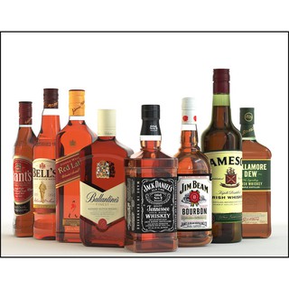 Vỏ Chai Rượu WHISKEY cắm hoa, trang trí nhà cửa