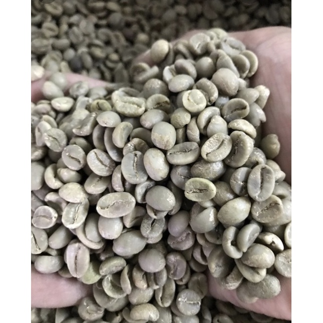 Cà Phê Sạch Nhân Sống ROBUSTAR, Hạt To chưa rang