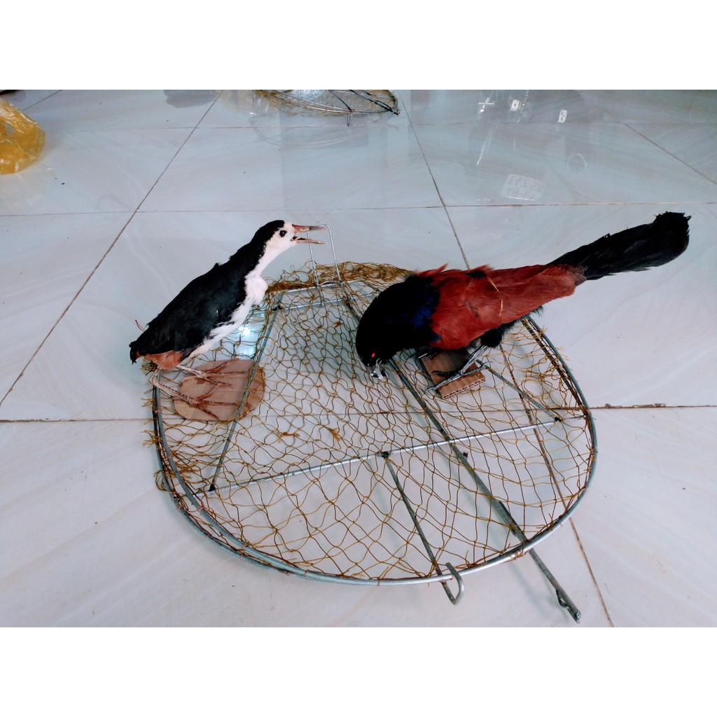 Mẹt bịp, cuốc gọn nhẹ, siêu nhạy, dễ dính