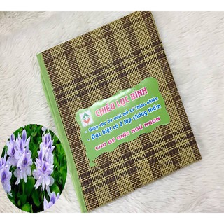Chiếu lục bình 2 lớp chống thấm cho bé