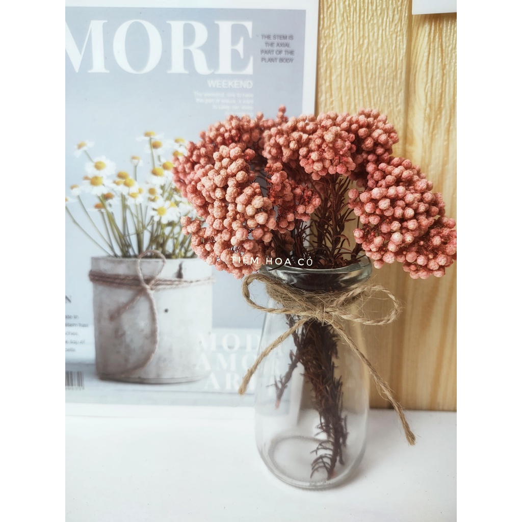 Hoa Decor Hoa Gạo Trang Trí Nhà Cửa, Phòng Học