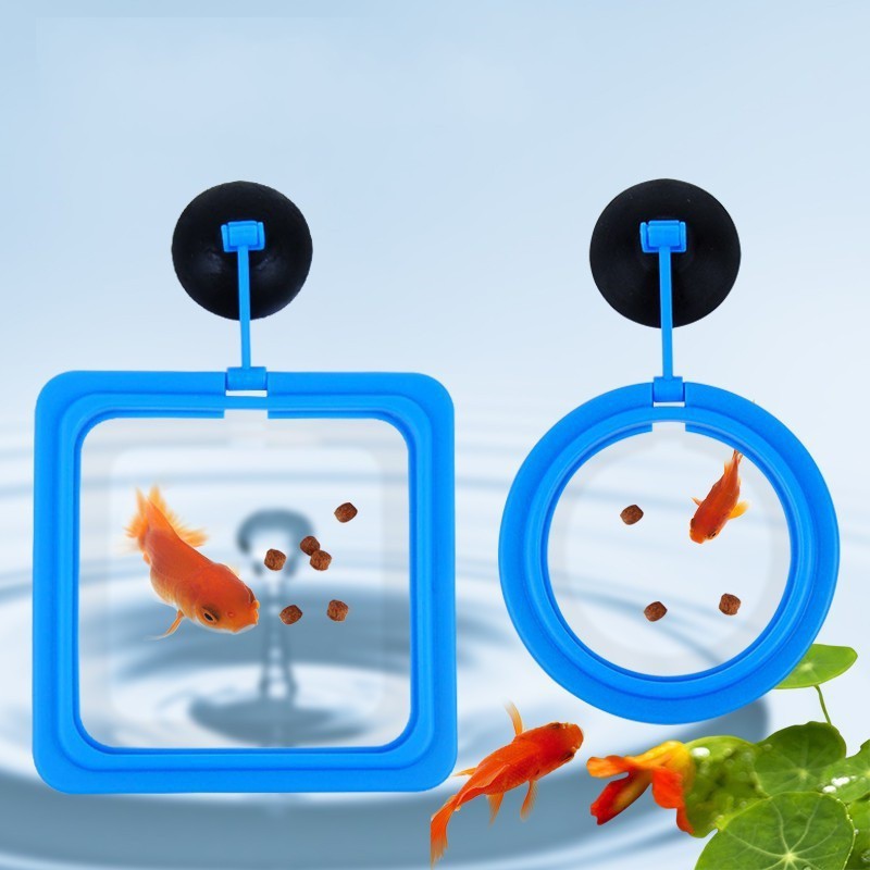 VÒNG GIỮ THỨC ĂN CHO CÁ CẢNH ko làm dơ nước hồ cá