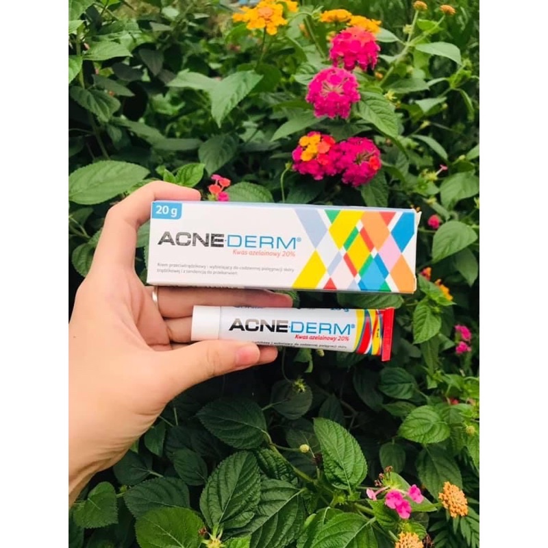 Kem ngừa thâm đều màu da ngừa mụn Acnederm acne derm axit azelaic 20%