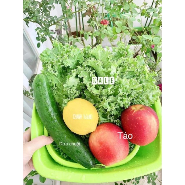 Máy ép chậm Hatix C6 - Kèm quà tặng - Bảo hành 12 tháng tại Việt Nam