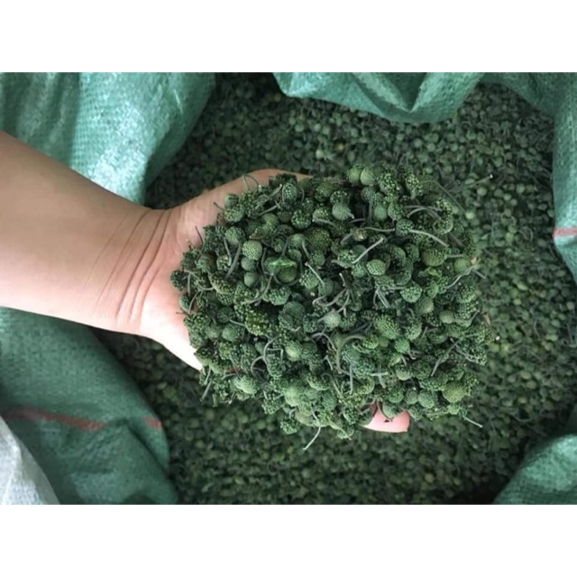 Nụ hoa tam thất 100gr