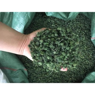 Nụ hoa tam thất 100gr