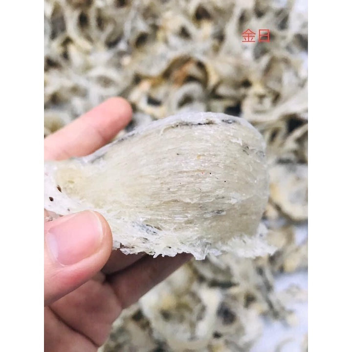 [YẾN SÀO KIM NHẬT] Yến thô nguyên chất 100% từ yến thiên nhiên, yến đã nhặt sạch, cam kết chất lượng suốt 8 năm qua