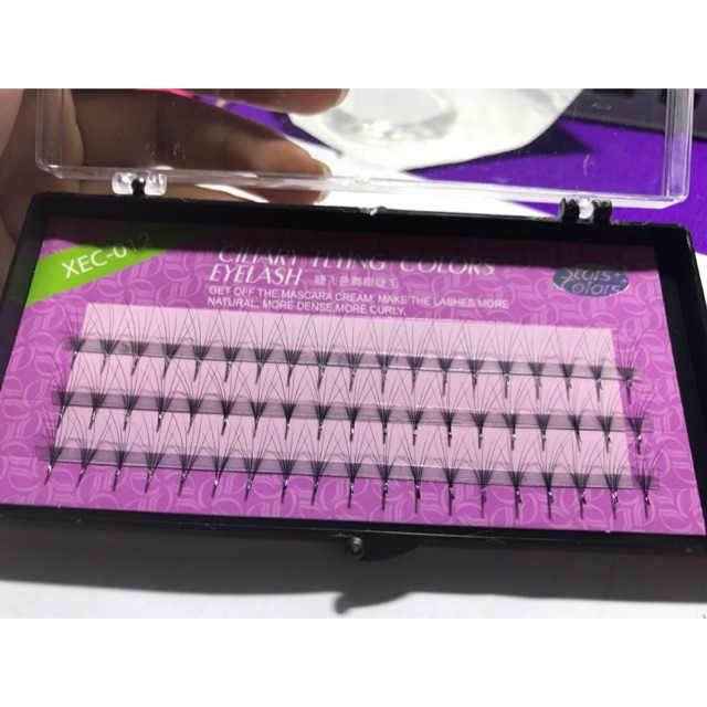 Mi hoa hồng đen fan sẵn