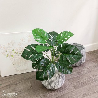 💥 Cây giả - Cây lá rùa nhựa trang trí để bàn, trang trí nhà đẹp cao 45cm - LC2026-2